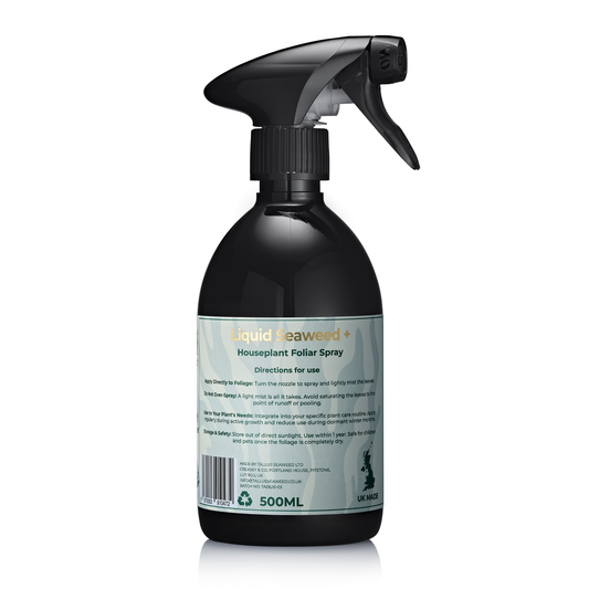 Tallus Seaweed Houseplant Foliar Spray
