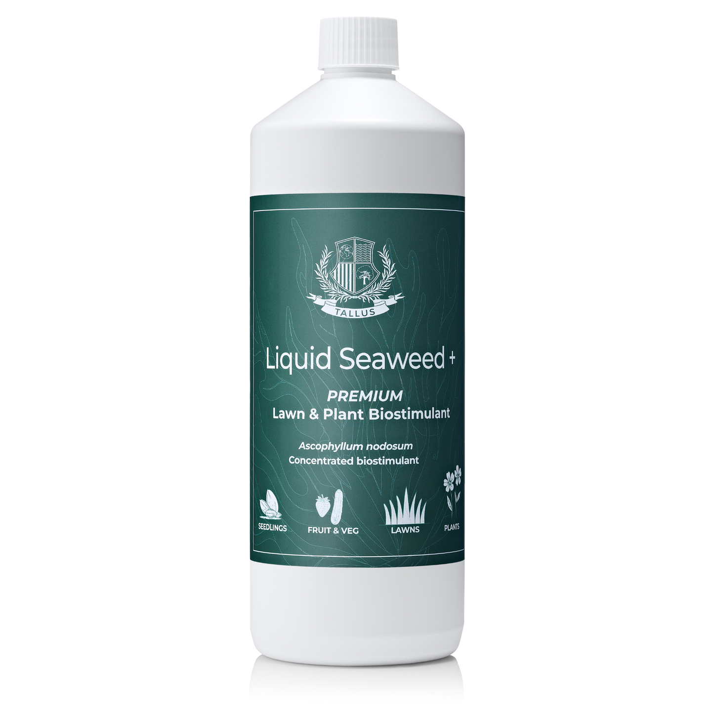 Premium Liquid Seaweed Concentrate
