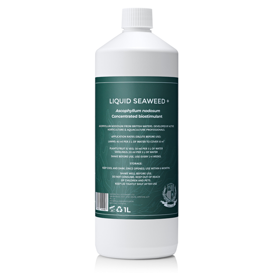 Premium Liquid Seaweed Concentrate